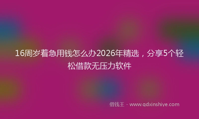 16周岁着急用钱怎么办2026年精选，分享5个轻松借款无压力软件