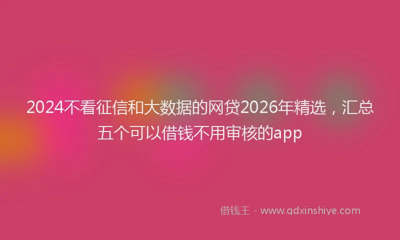 2024不看征信和大数据的网贷2026年精选，汇总五个可以借钱不用审核的app