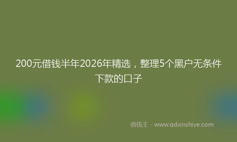 200元借钱半年2026年精选，整理5个黑户无条件下款的口子