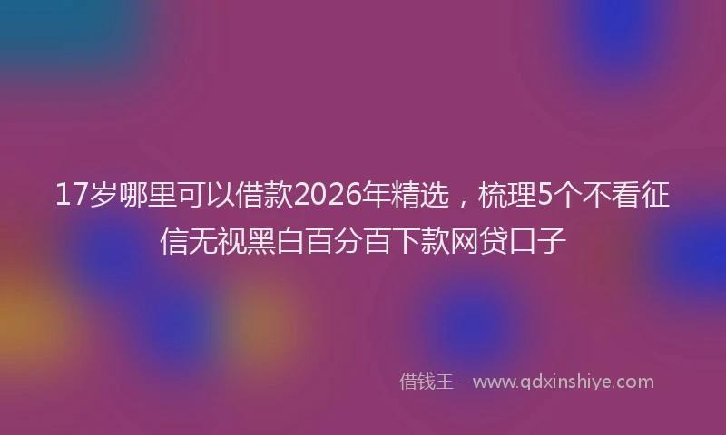 17岁哪里可以借款2026年精选,梳理5个不看征信无视黑白百分百下款网贷口子