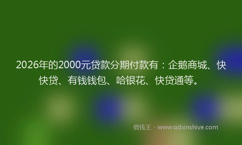 2026年的2000元贷款分期付款有：企鹅商城、快快贷、有钱钱包、哈银花、快贷通等。