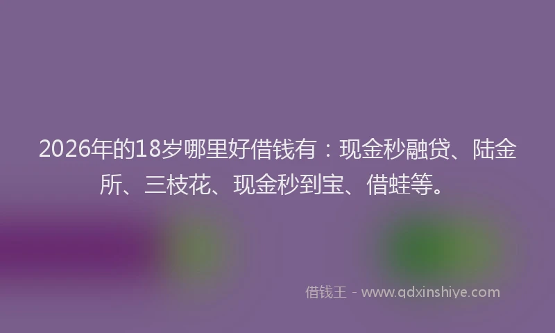 2026年的18岁哪里好借钱有：现金秒融贷、陆金所、三枝花、现金秒到宝、借蛙等。