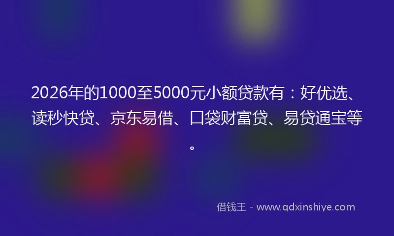 2026年的1000至5000元小额贷款有：好优选、读秒快贷、京东易借、口袋财富贷、易贷通宝等。