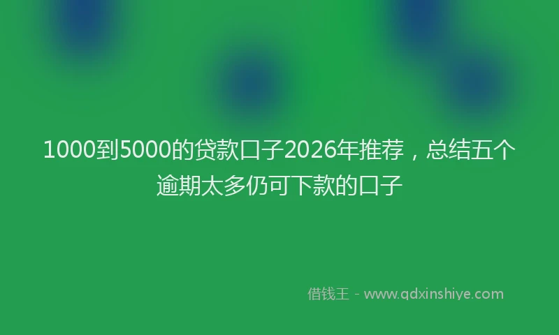 1000到5000的贷款口子2026年推荐，总结五个逾期太多仍可下款的口子