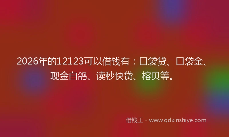 2026年的12123可以借钱有:口袋贷、口袋金、现金白鸽、读秒快贷、榕贝等。