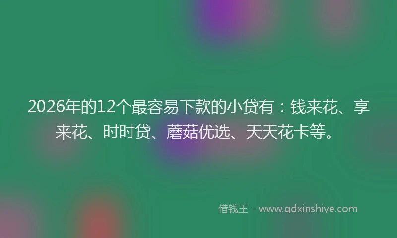 2026年的12个最容易下款的小贷有:钱来花、享来花、时时贷、蘑菇优选、天天花卡等。