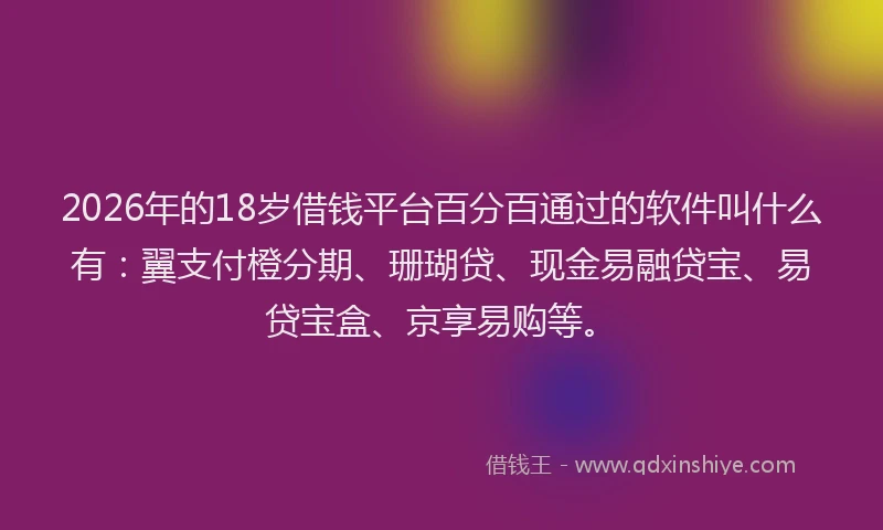 2026年的18岁借钱平台百分百通过的软件叫什么有：翼支付橙分期、珊瑚贷、现金易融贷宝、易贷宝盒、京享易购等。
