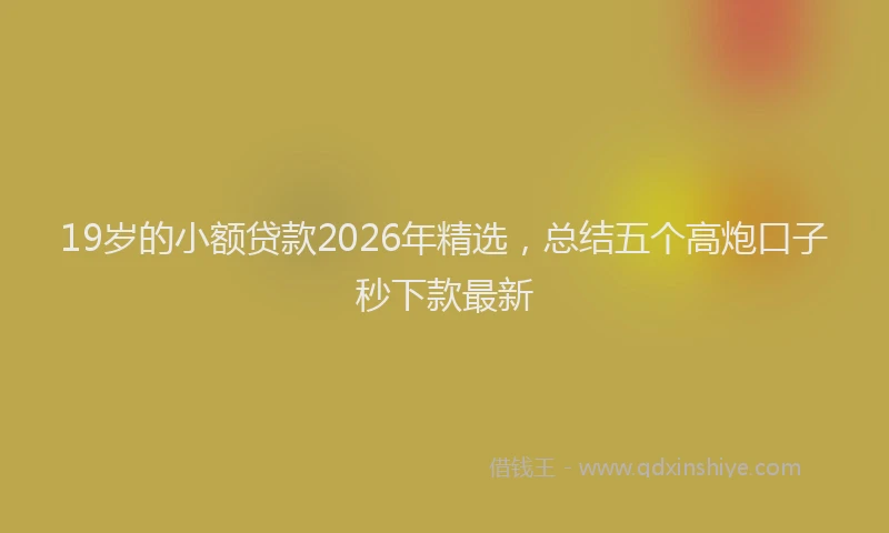 19岁的小额贷款2026年精选，总结五个高炮口子秒下款最新