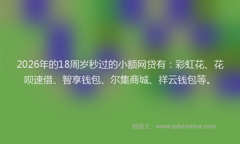 2026年的18周岁秒过的小额网贷有：彩虹花、花呗速借、智享钱包、尔集商城、祥云钱包等。