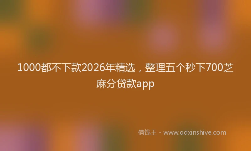 1000都不下款2026年精选，整理五个秒下700芝麻分贷款app