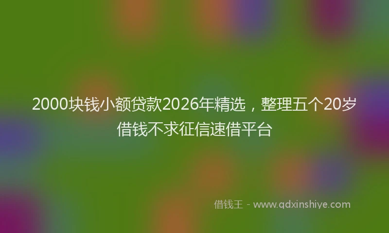2000块钱小额贷款2026年精选，整理五个20岁借钱不求征信速借平台