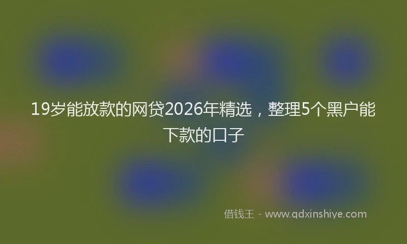19岁能放款的网贷2026年精选,整理5个黑户能下款的口子