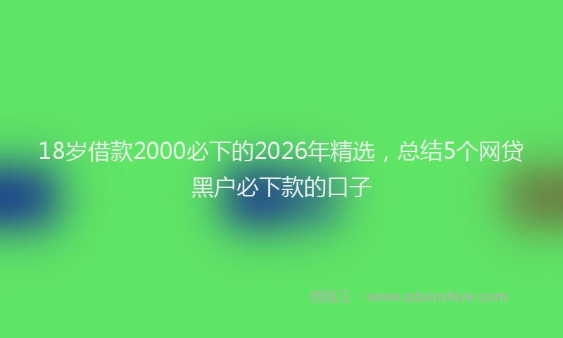 18岁借款2000必下的2026年精选，总结5个网贷黑户必下款的口子