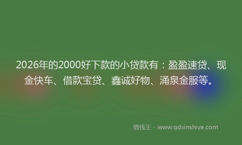 2026年的2000好下款的小贷款有：盈盈速贷、现金快车、借款宝贷、鑫诚好物、涌泉金服等。