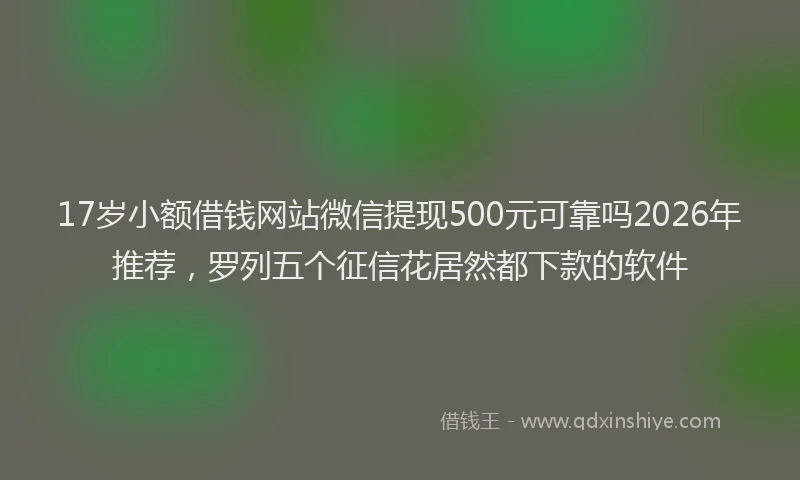 17岁小额借钱网站微信提现500元可靠吗2026年推荐，罗列五个征信花居然都下款的软件