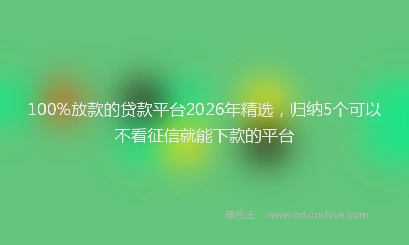 100%放款的贷款平台2026年精选,归纳5个可以不看征信就能下款的平台