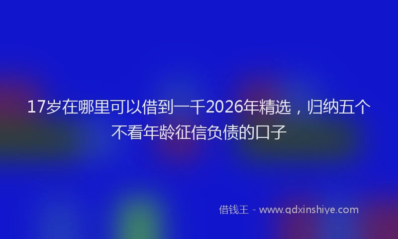 17岁在哪里可以借到一千2026年精选，归纳五个不看年龄征信负债的口子