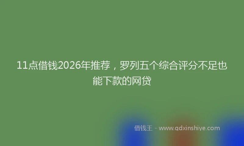 11点借钱2026年推荐，罗列五个综合评分不足也能下款的网贷