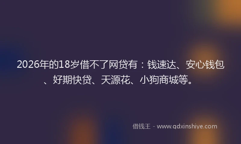 2026年的18岁借不了网贷有:钱速达、安心钱包、好期快贷、天源花、小狗商城等。