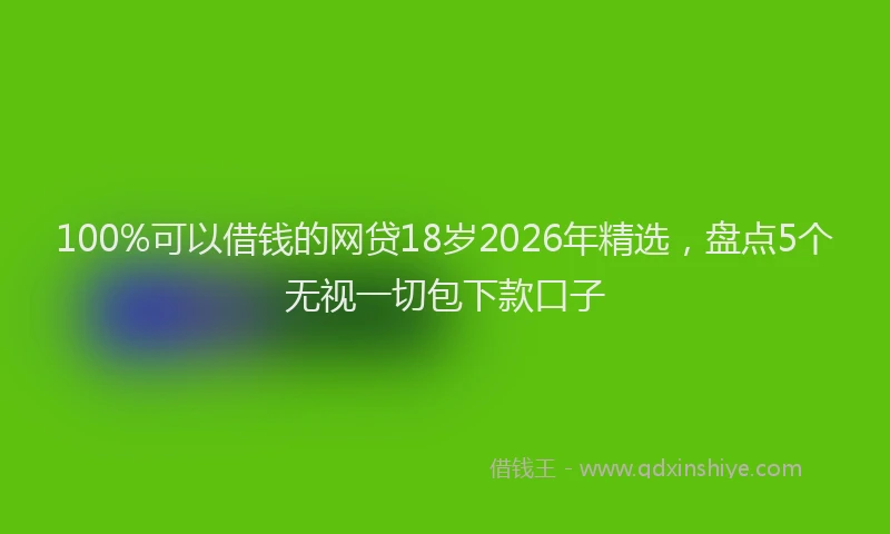 100%可以借钱的网贷18岁2026年精选，盘点5个无视一切包下款口子