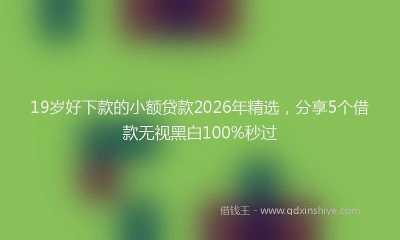 19岁好下款的小额贷款2026年精选，分享5个借款无视黑白100%秒过