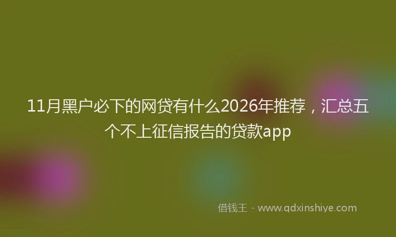 11月黑户必下的网贷有什么2026年推荐，汇总五个不上征信报告的贷款app