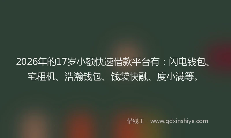 2026年的17岁小额快速借款平台有：闪电钱包、宅租机、浩瀚钱包、钱袋快融、度小满等。