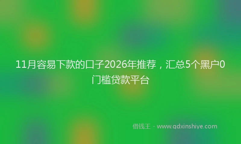 11月容易下款的口子2026年推荐,汇总5个黑户0门槛贷款平台