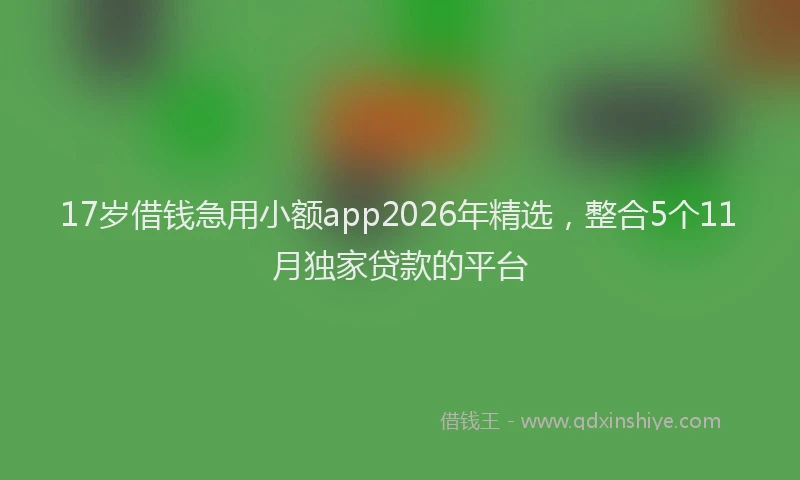 17岁借钱急用小额app2026年精选，整合5个11月独家贷款的平台