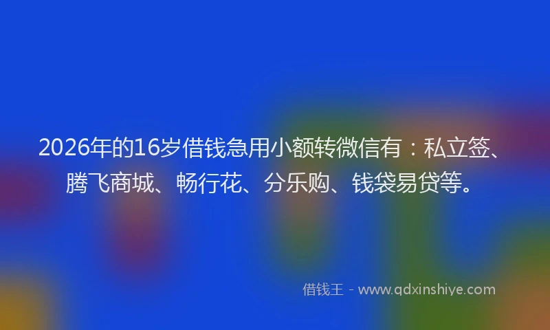 2026年的16岁借钱急用小额转微信有:私立签、腾飞商城、畅行花、分乐购、钱袋易贷等。