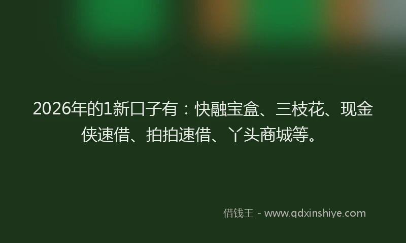 2026年的1新口子有：快融宝盒、三枝花、现金侠速借、拍拍速借、丫头商城等。