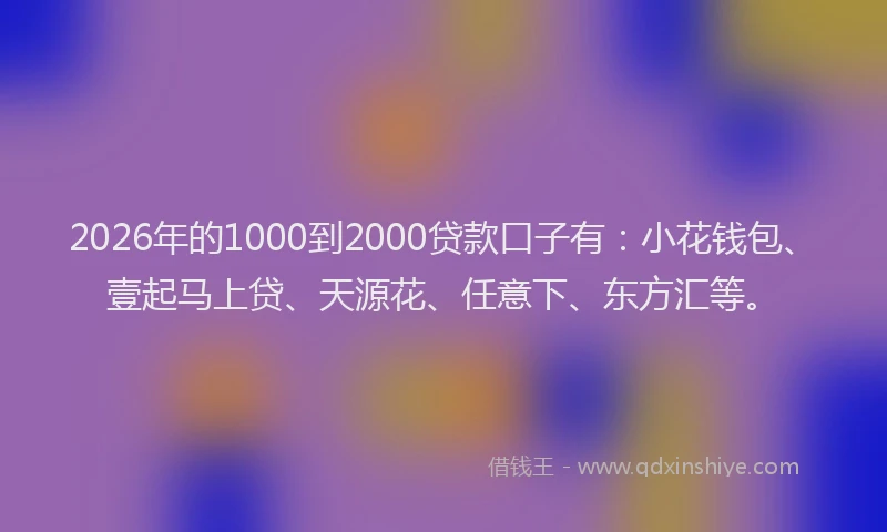 2026年的1000到2000贷款口子有:小花钱包、壹起马上贷、天源花、任意下、东方汇等。