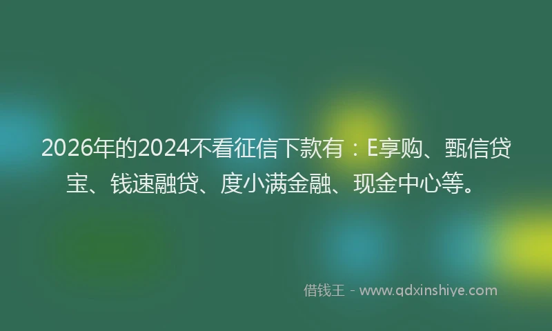 2026年的2024不看征信下款有：E享购、甄信贷宝、钱速融贷、度小满金融、现金中心等。