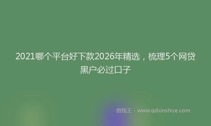 2021哪个平台好下款2026年精选，梳理5个网贷黑户必过口子