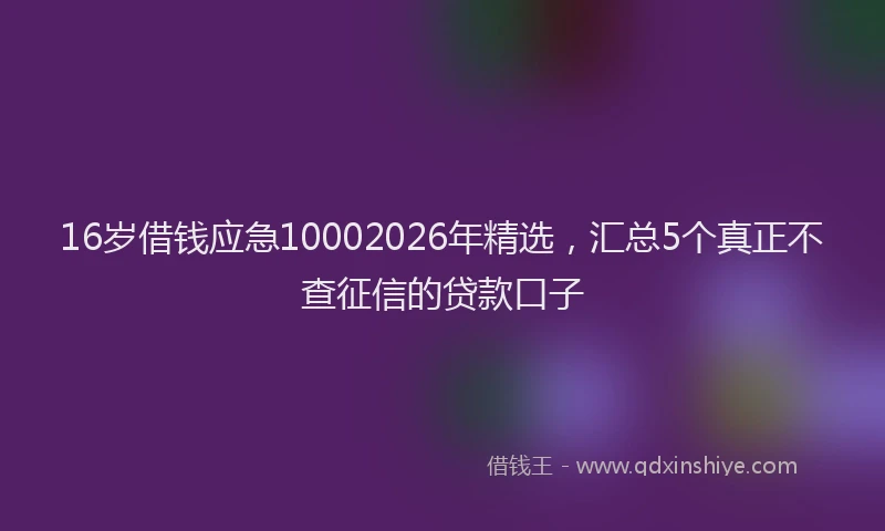 16岁借钱应急10002026年精选,汇总5个真正不查征信的贷款口子