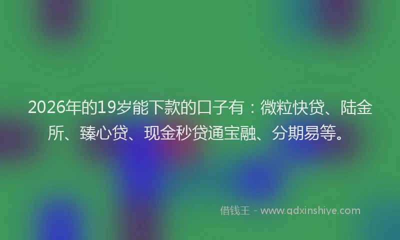 2026年的19岁能下款的口子有:微粒快贷、陆金所、臻心贷、现金秒贷通宝融、分期易等。
