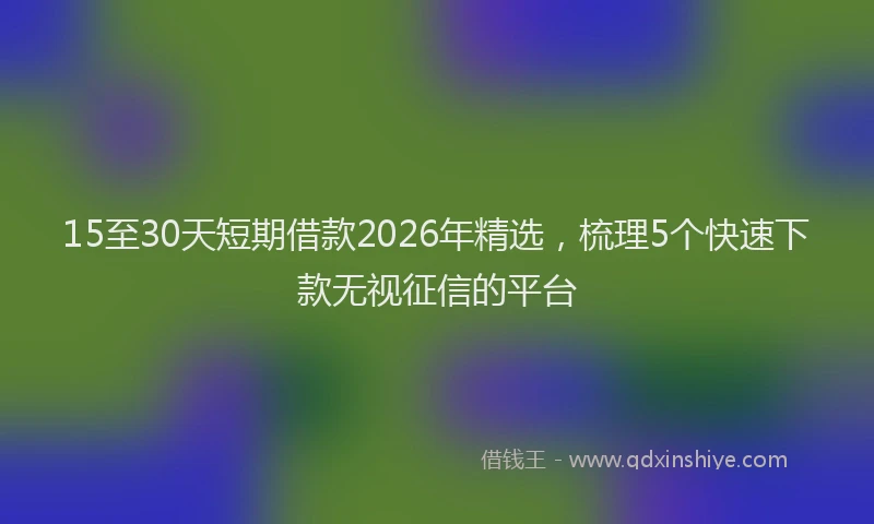15至30天短期借款2026年精选,梳理5个快速下款无视征信的平台