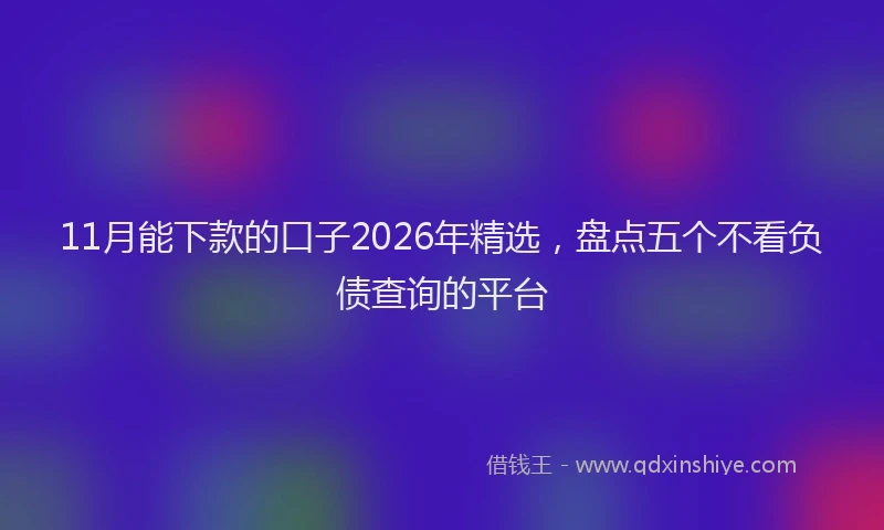 11月能下款的口子2026年精选，盘点五个不看负债查询的平台