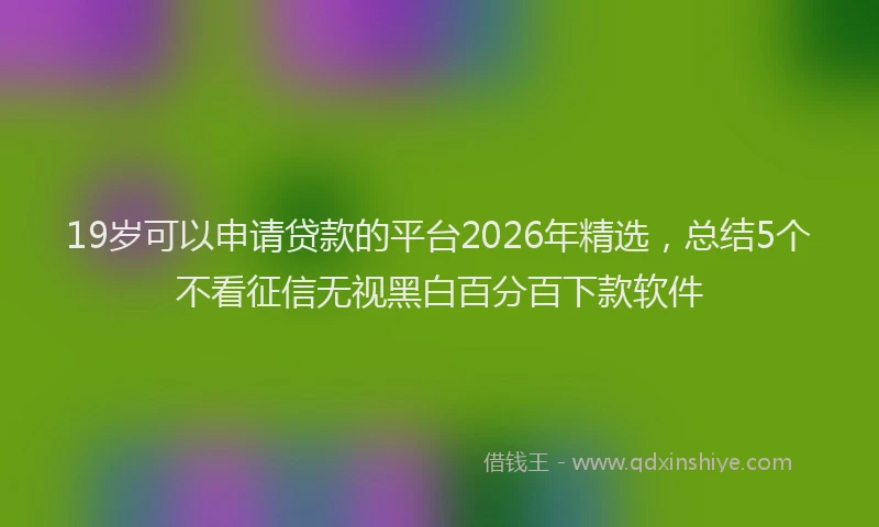 19岁可以申请贷款的平台2026年精选，总结5个不看征信无视黑白百分百下款软件
