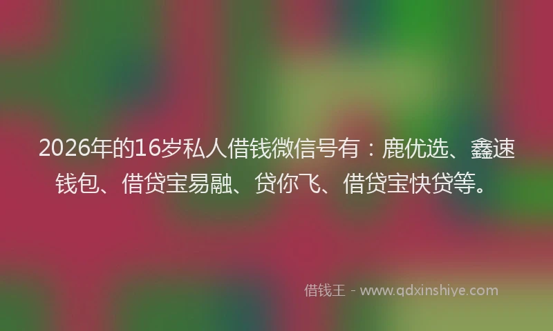 2026年的16岁私人借钱微信号有:鹿优选、鑫速钱包、借贷宝易融、贷你飞、借贷宝快贷等。