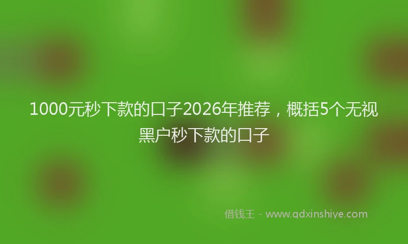 1000元秒下款的口子2026年推荐，概括5个无视黑户秒下款的口子