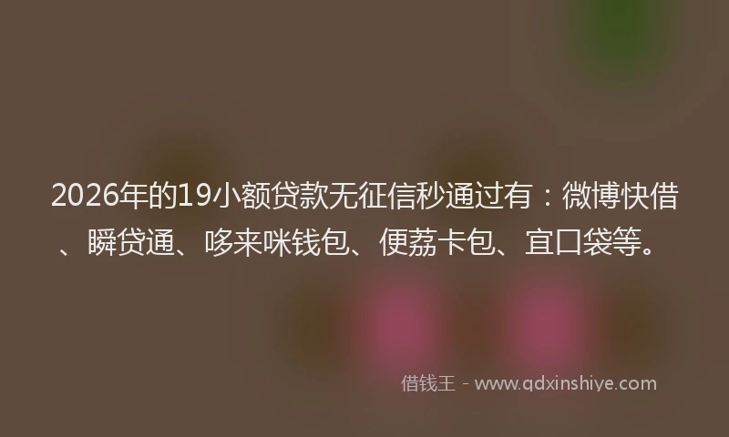 2026年的19小额贷款无征信秒通过有：微博快借、瞬贷通、哆来咪钱包、便荔卡包、宜口袋等。