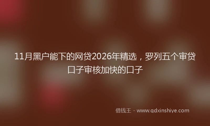 11月黑户能下的网贷2026年精选，罗列五个审贷口子审核加快的口子