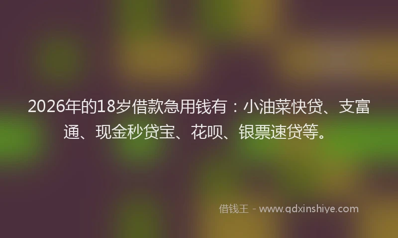 2026年的18岁借款急用钱有：小油菜快贷、支富通、现金秒贷宝、花呗、银票速贷等。