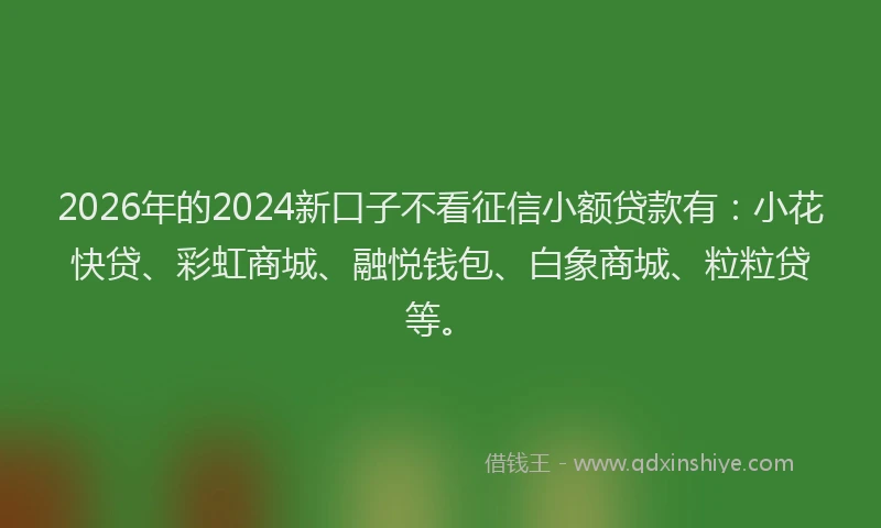 2026年的2024新口子不看征信小额贷款有：小花快贷、彩虹商城、融悦钱包、白象商城、粒粒贷等。