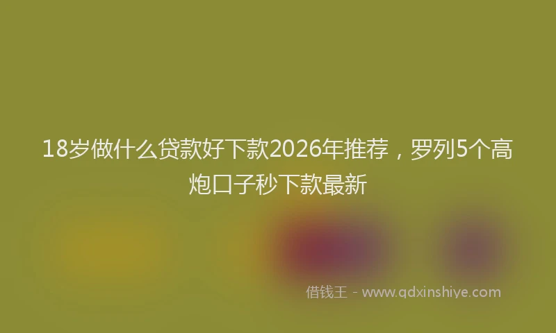 18岁做什么贷款好下款2026年推荐，罗列5个高炮口子秒下款最新