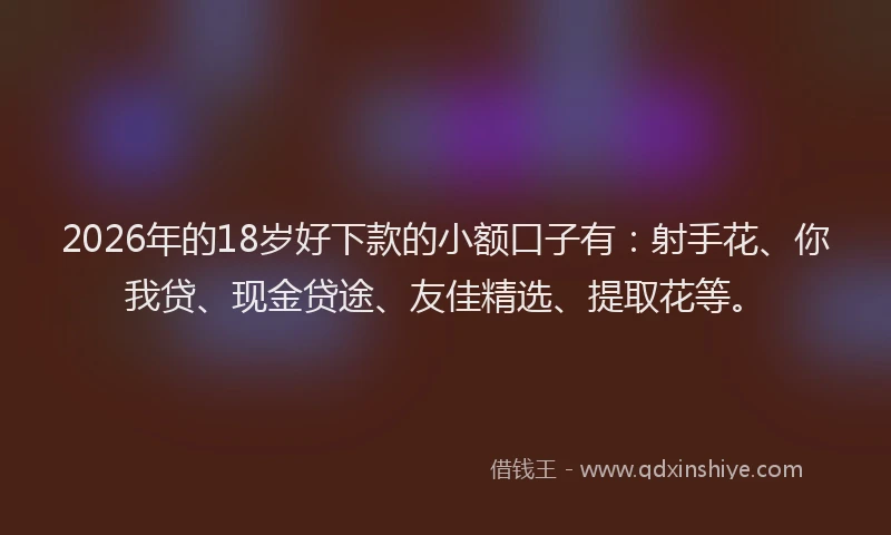2026年的18岁好下款的小额口子有:射手花、你我贷、现金贷途、友佳精选、提取花等。