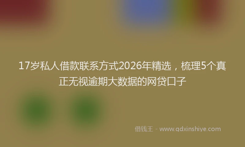 17岁私人借款联系方式2026年精选，梳理5个真正无视逾期大数据的网贷口子