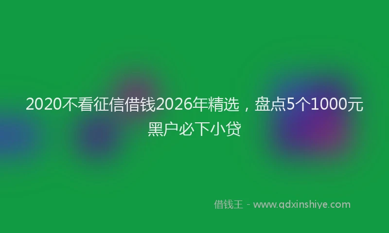 2020不看征信借钱2026年精选,盘点5个1000元黑户必下小贷