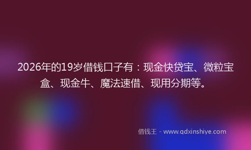 2026年的19岁借钱口子有:现金快贷宝、微粒宝盒、现金牛、魔法速借、现用分期等。